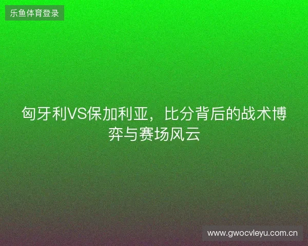匈牙利VS保加利亚，比分背后的战术博弈与赛场风云